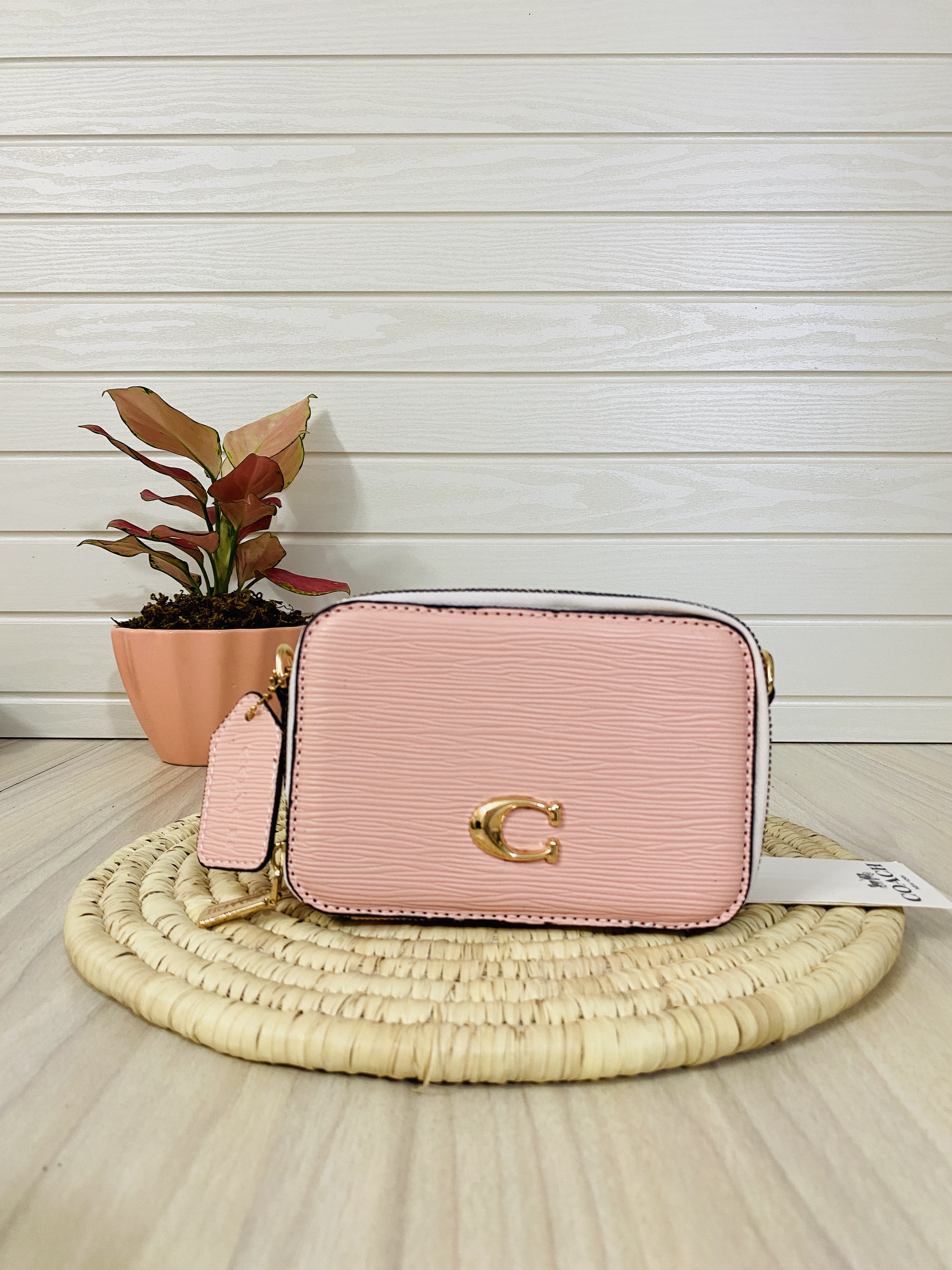 مینی بگ وارداتی کوچ coach