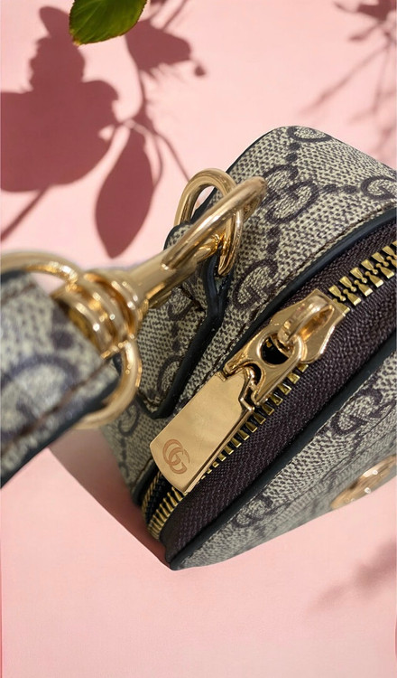 مینی بگ گوچی