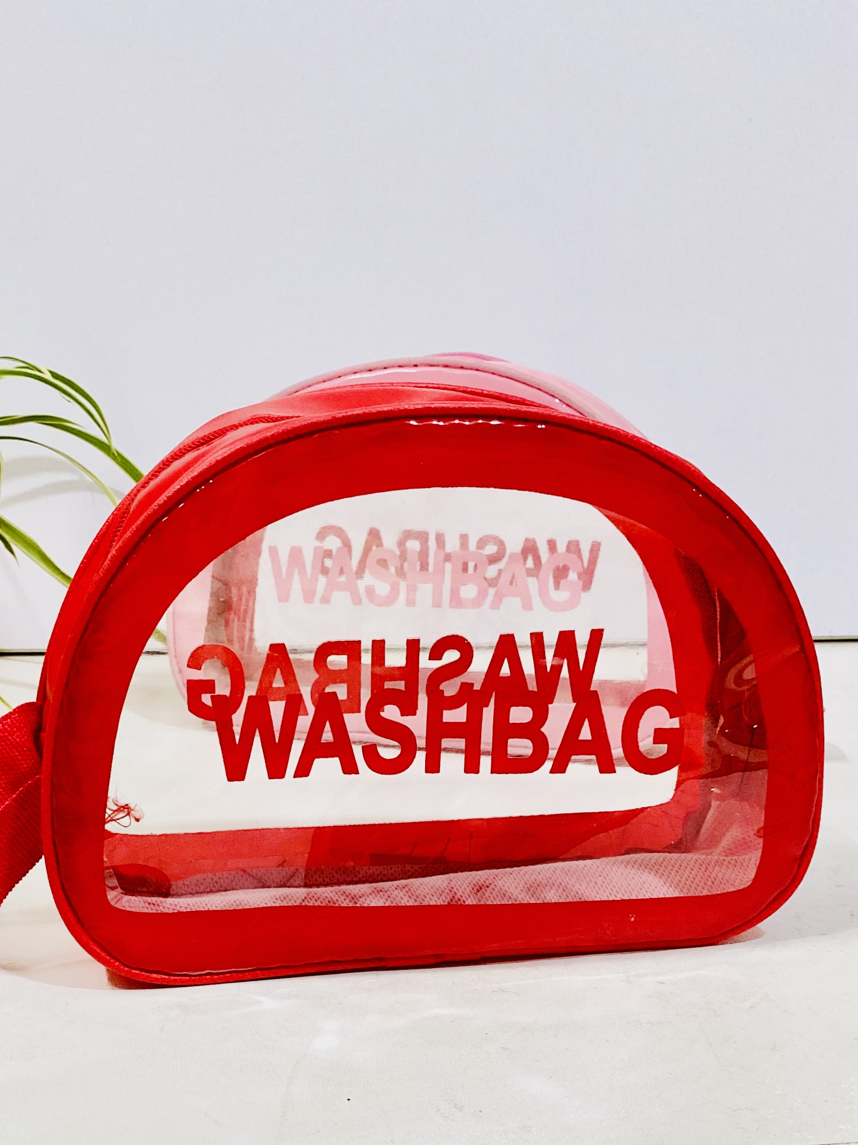 واش بگ آرایشی